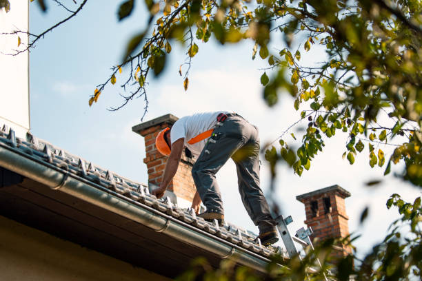 Best Emergency Roof Repair  in Stacy, MN