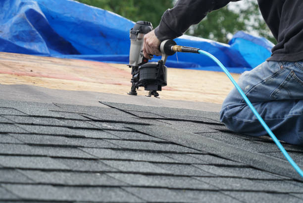 Best Roof Gutter Cleaning  in Stacy, MN