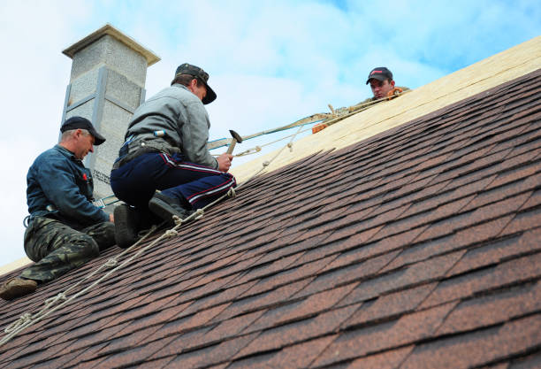 Best Roof Leak Repair  in Stacy, MN